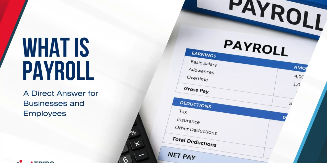 What Is Payroll